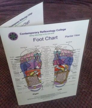 Foot Reflexology Chart